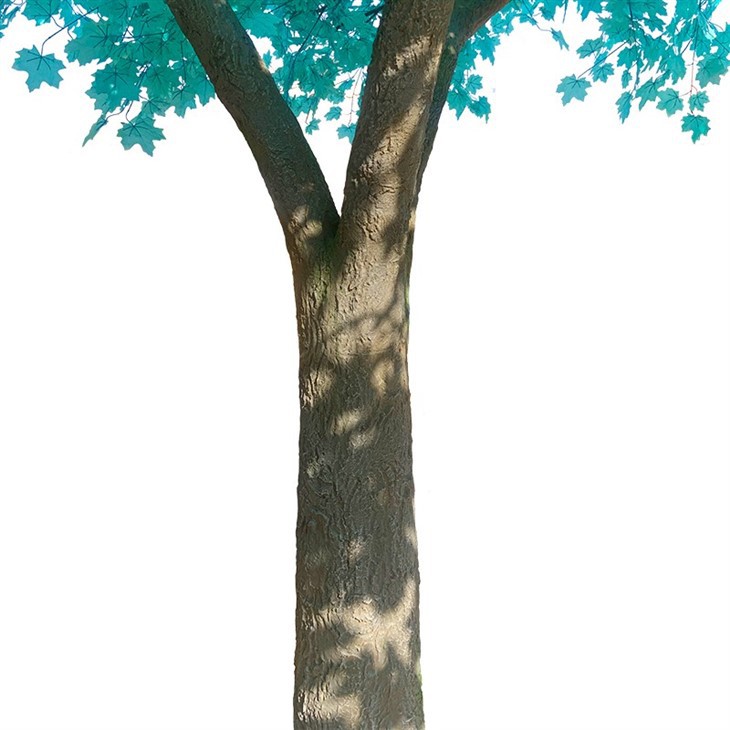 Blue Fake Japanese Maple Tree