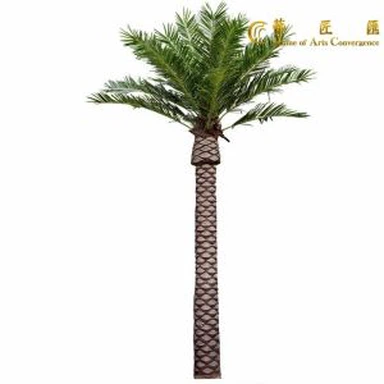Dyddiad Canari Artiffisial Palm Tree