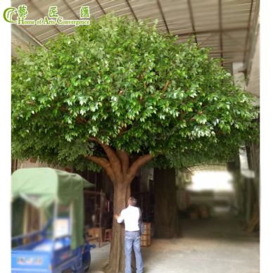 Coed Banyan Artiffisial