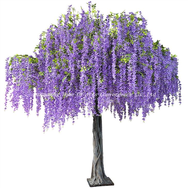 Coed Wisteria Piws ffug